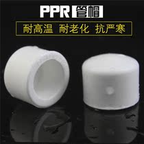 PPR water pipe fittings Accessories PPR plug cap Hot melt pipe plug cap 20 25 32 pipe cap 4 points 6 points