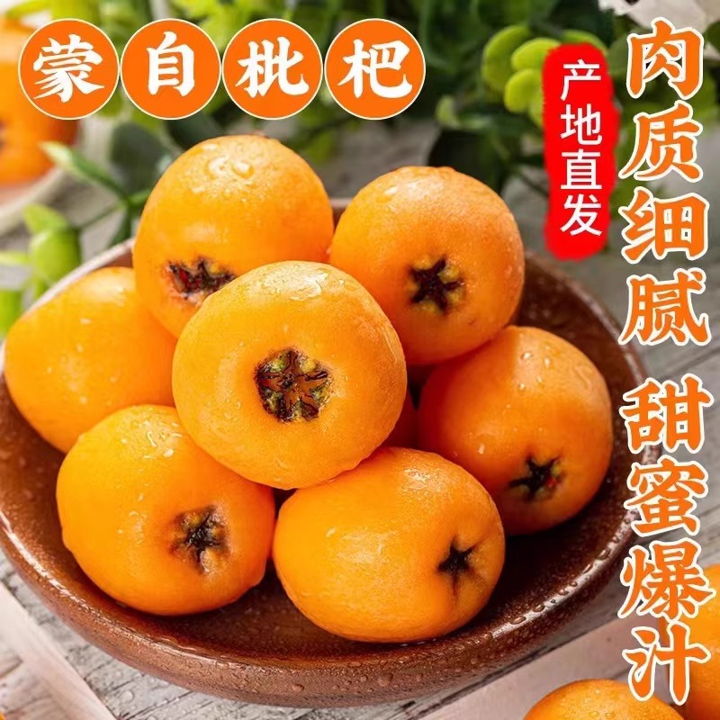 Yunnan Monself sweet loquat fruit 5 catties fresh and long iridescent pipa pipa with fresh fruit cough and baby pregnant with special grade fruit 3-Taobao