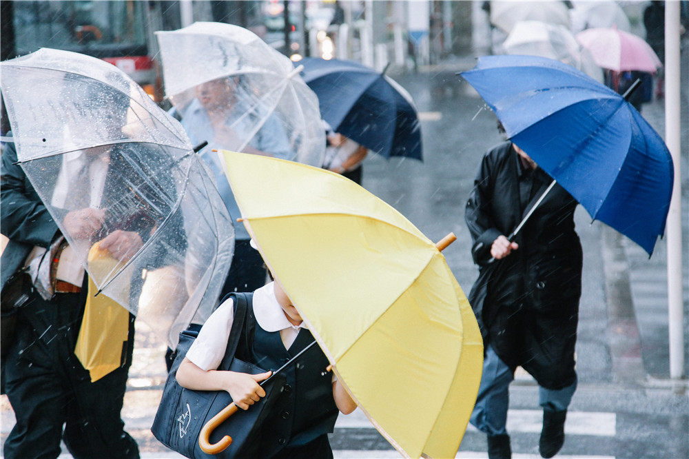 四步挑选貌美雨伞四季为你遮风挡雨
