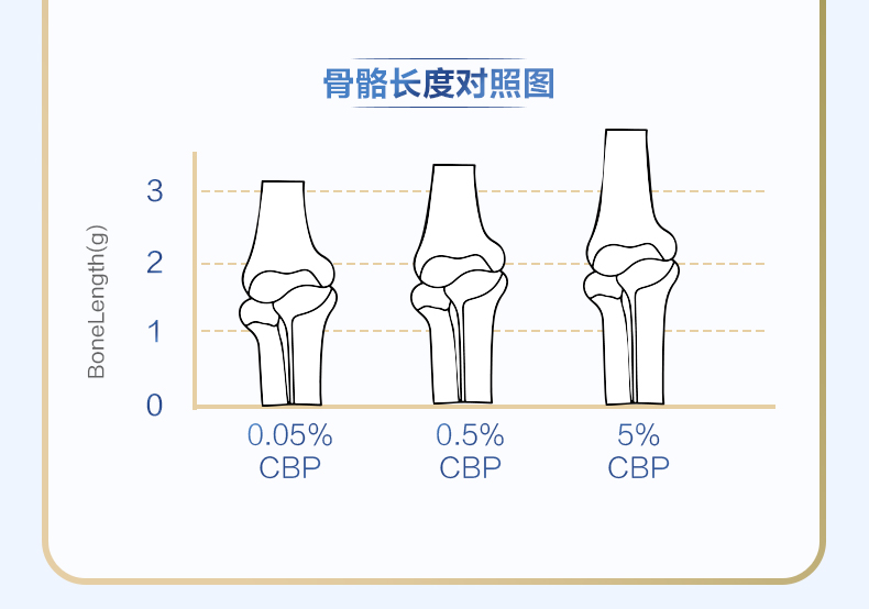 21金维他！氨糖软骨素钙片60粒/瓶