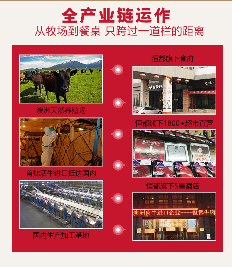 全产业链运作从牧场到餐桌只跨过一道栏的距离恒都旗下食府火锅学位都澳洲天然养殖场恒都线下1800+超市直首批活牛进口抵达国内恒都旗下5星酒店澳洲肉牛进口企业一恒都牛肉国内生产加工基地-推好价 | 品质生活 精选好价