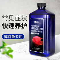 YEE parrot fish professional fish medicine disease mildew white hair rotten gills rotten tail white dot disease parasite sterilization and maintenance agent