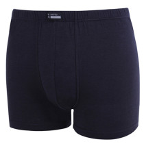 07 pants 01 pants upgrade Ice Silk seamless knickers shorts modal mens boxer pants