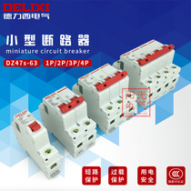Delixi air switch DZ47 DZ47S 1P 2P 3P 10A 16A 20A 25A 32A Circuit breaker C