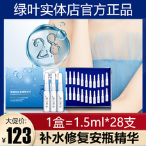 Green Leaf Shinoise Bottle Essence Tonic Water Repair 1 5ml * 28 Detachment Bright Complexion Anti-Decay Concentrate Fine China Liquid