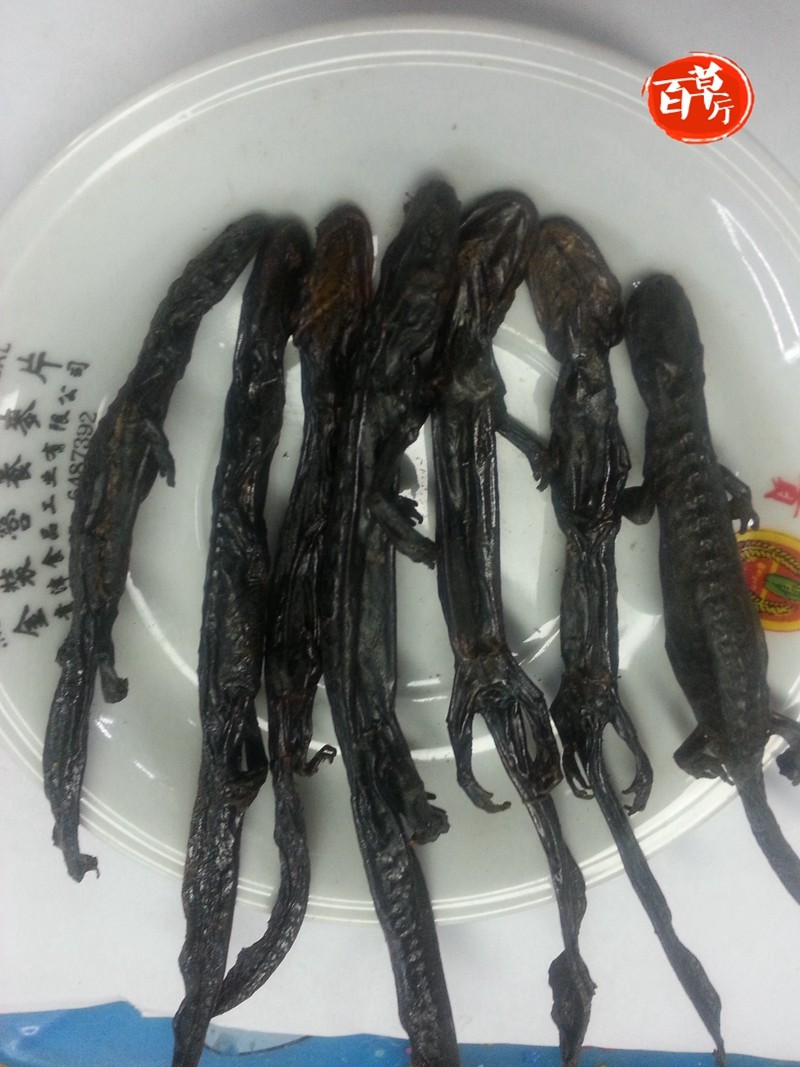 正品四川阿坝野生中药材羌活鱼 清水全干羌活鱼 杉木鱼100g包邮