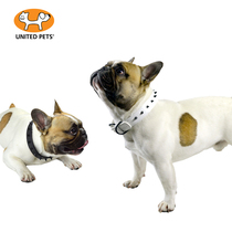 Italian imports UNITED PETS pooch full leather collar small midsize canine collar