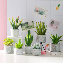 ins wind fake grass potted indoor green plant fake flower ornaments Nordic simulation cactus fairy column plant small decoration