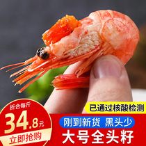 Arctic shrimp head seeds Extra Large 5kg fresh sweet shrimp with seeds large quick-frozen box 10kg seafood aquatic products