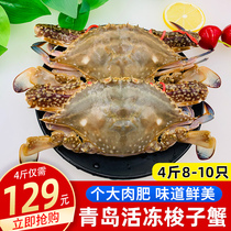 Portunus crab fresh frozen crab fresh sea crab frozen meat crab flying crab 4kg seafood Shunfeng