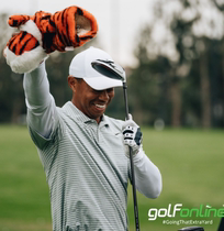 Tiger clubhead cover Daphnes golf clubhead sleeve Tiger ball track wood rod headgear Tiger Woods