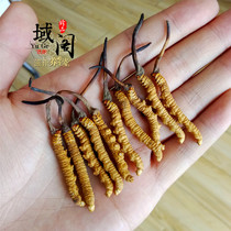 Lan Shengtang Tibet Cordyceps sinensis Naqu Cordyceps Cordyceps selection 3 grams