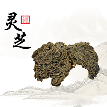 Lan Shengtang Tibetan Ganoderma lucidum Ganoderma lucidum powder 500g