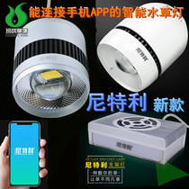 Nittley full spectrum LED downlight chandelier Nittley lamp god lamp aquatic plant lamp send bracket dimming version of the square lamp bracket lamp