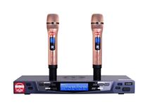 BBS U2200S A Mopping Two Wireless Microphone Microphone U Segment Karaoke Session Microphone