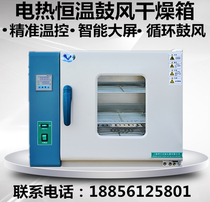 Oven oven electric blast constant temperature drying oven laboratory drying box industrial oven constant temperature drying oven qs instrument