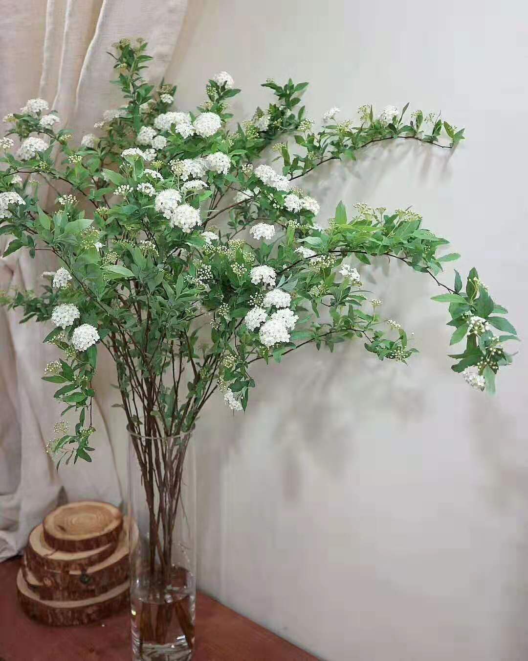 云南昆明基地直发雪柳小手球鲜花水养鲜切花乔迁家庭办公室插花