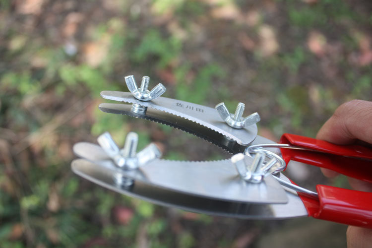 环割刀 猕猴桃环割刀葡萄环割剪刀苹果梨树杨梅环割刀工具