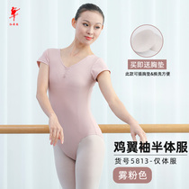 Red Dancing Shoes 5813 Dance Suit Women Adults Ballet Dancer Short Sleeve Gymnastics Suit Base Training Dance Body Suit