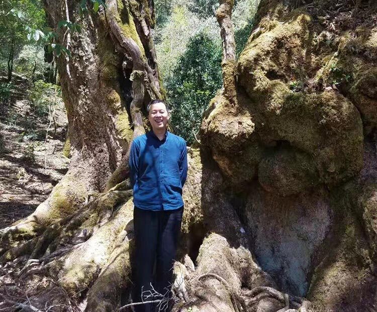 徐全军,紫安堂的创始人