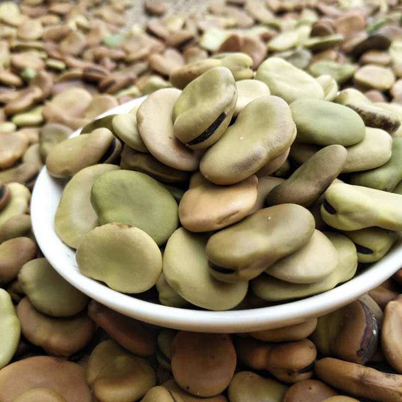 农家生干蚕豆青皮蚕豆罗汉豆胡豆干可油炸兰花豆5斤包邮五谷杂粮