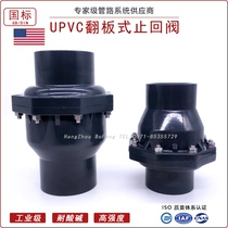 UPVC flip check valve PVC-U swing hard polyvinyl chloride national standard DIN American standard ANSI ASTM