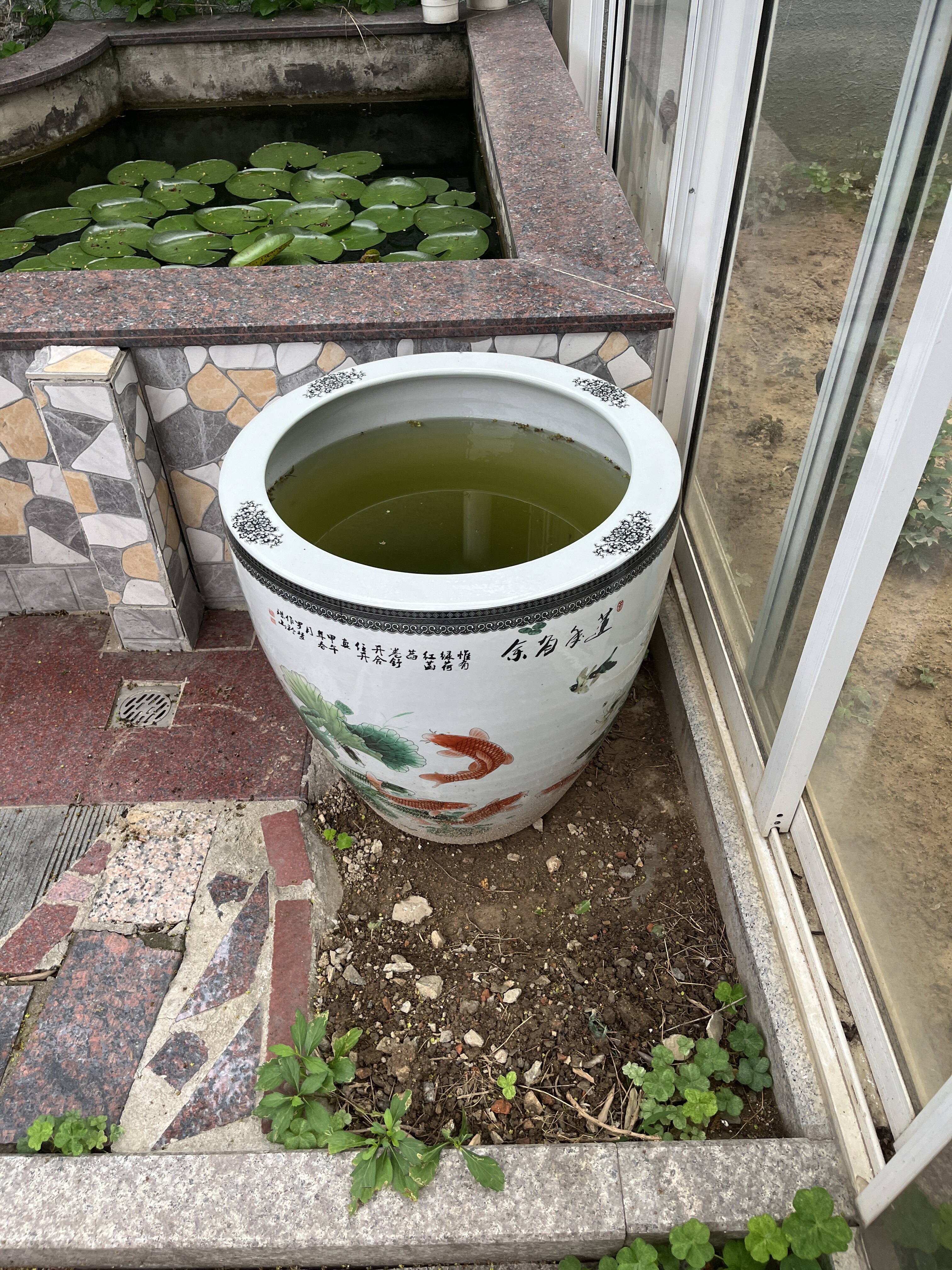 景德镇陶瓷养鱼缸大号庭院荷花水缸客厅书房摆件书画卷轴缸加高款