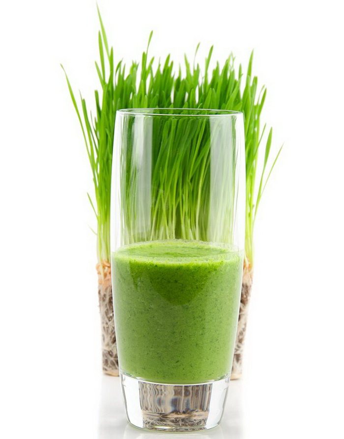 唯客好迈小麦草汁糖浆 小麦草浓缩果汁 小麦草奇异果汁原料1.2kg