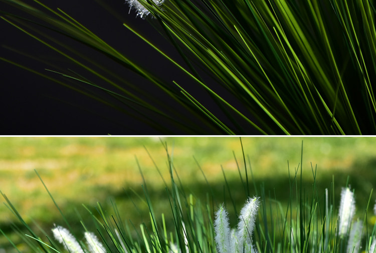 仿真狗尾巴草芦苇假花塑料花草落地植物装饰绿植盆栽橱窗花槽水草
