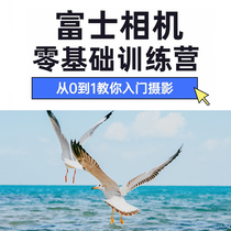 ten Qianjun Zero Basic Photography Entry Video Fuji Camera systematization Teaching intron Theory Late 43 Lesson