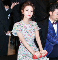 Chen Yao star same lace mesh dress embroidered cake skirt slim slim floral skirt temperament dress