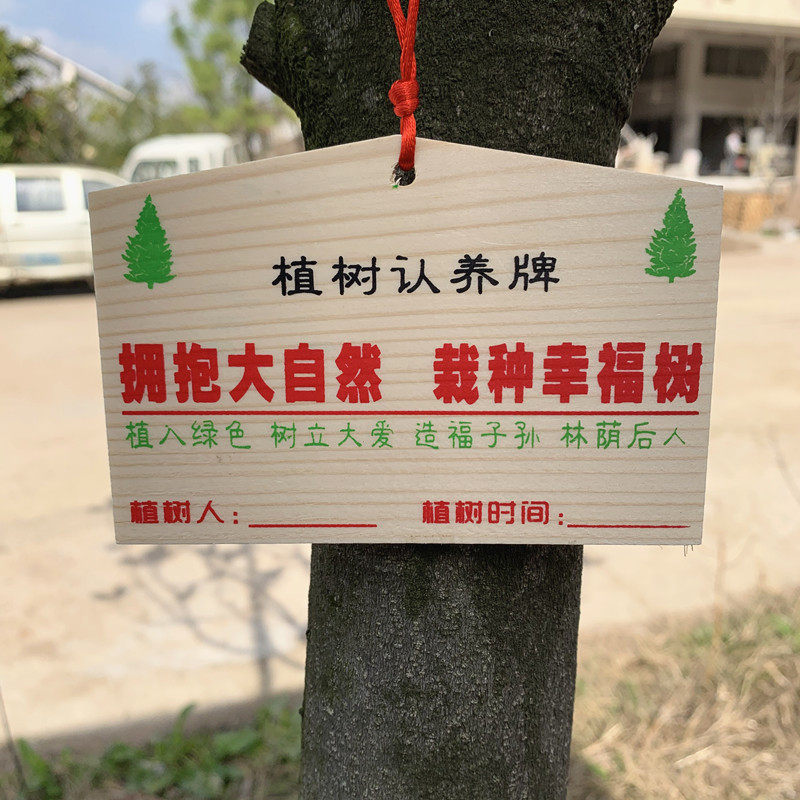 现货供应植树创意木牌挂牌植树植树节挂认养牌木吊牌实木可印logo