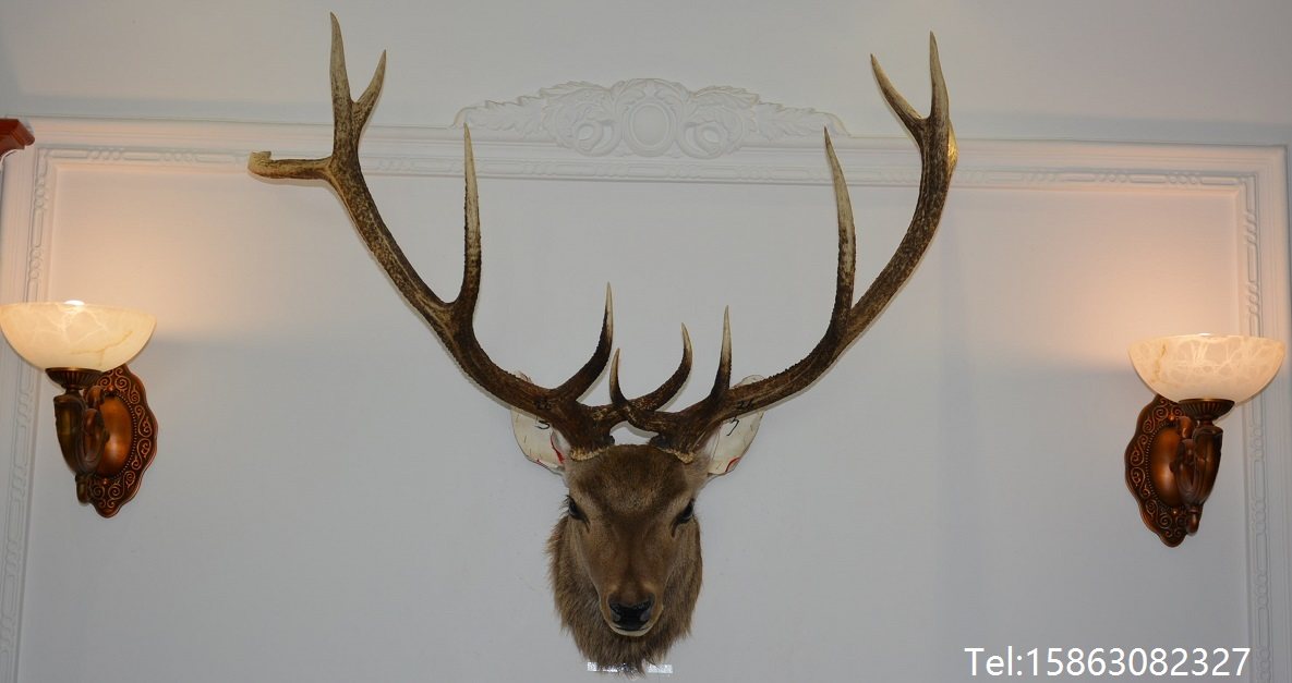 特大鹿头标本壁挂墙饰3 酒吧酒窖装饰 会所别墅装饰欧洲进口工艺