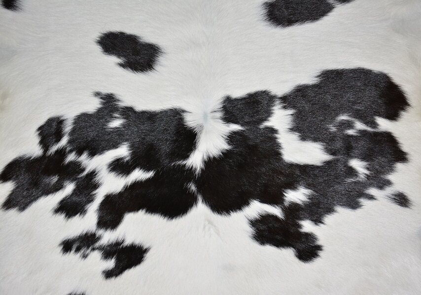 奶牛羔皮一般以平方英尺为单位按面积计算价格,10.