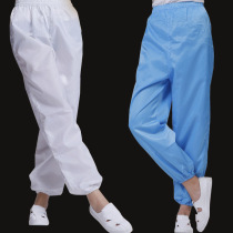 Anti-static pants dust-proof protective split clothing dust-free workshop work pants split clothing pants