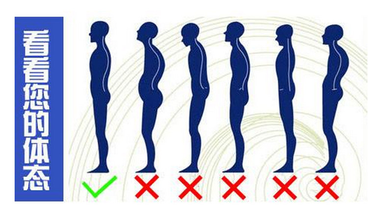 体态评估表健身房工作室背景墙纸私教瑜伽壁画体姿体态评估图壁纸