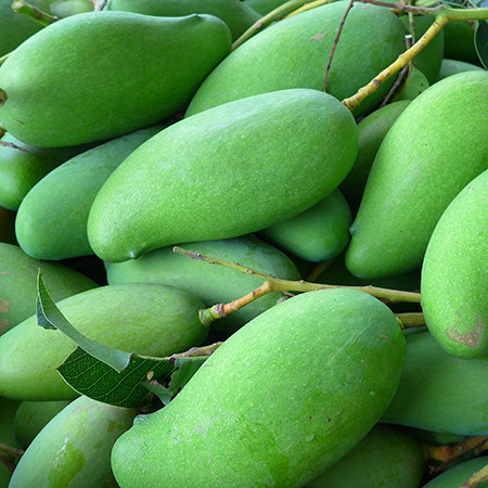 云南临沧永德特产 泰国芒 勐底1号 生吃芒果5斤包邮 送香辣椒一袋