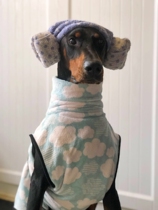 Cute cloud pet quick dry bathrobe swimming outdoor insulation double package not easy to fall off dog bath bath towel