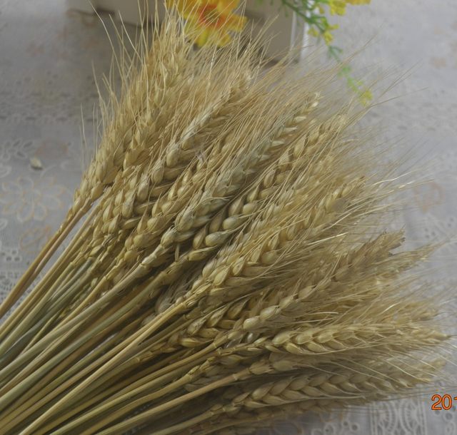 ຫູ wheat ທໍາມະຊາດຕາກແດດໃຫ້ແຫ້ງ bouquet ເປີດ barley ຫ້ອງດໍາລົງຊີວິດ pastoral ປະດັບປະດັບ vase ການຈັດດອກໄມ້ທີ່ແທ້ຈິງດອກໄມ້ແຫ້ງດິນສິລະປະ