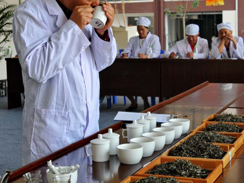 练出来的评茶师