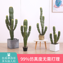 Nordic Indoor Emulation Plant Decoration Bull Moroccans Fairy Post Cactus Basin Off Landing Fake Plant Pendulum
