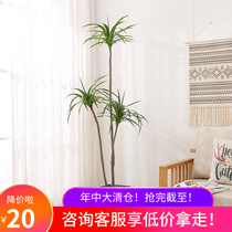 Simulation Green Plant Dragon Blood Tree Millennium Wood Indoor Floor Potted Office Net Red Fake Tree Nordic Ins