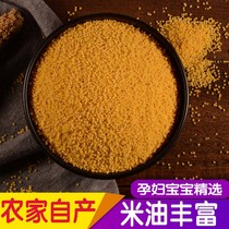 Rice fat yellow millet 2022 new rice farmhouse self-produced confinement rice 5 jin packs small yellow rice miscellaneous grain porridge from northern Shaanxi farmhouse