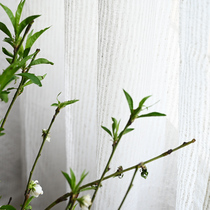 Vegan Linen Flax Cotton Linen Veil Soft Touch American Countryside Pure Color Striped Bedroom Minimalist Window Veil Curtain Finished Product Customization