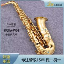 Japan original Yanagisawa YANAGISAWA E-DOWN ALTO SAXOPHONE WIND INSTRUMENT model A-W01