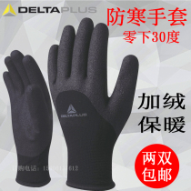 Deir Tower 201750 waterproof and cold resistant gloves Ding sunny coating Anti-freeze gloves abrasion resistant and warm and cold storage