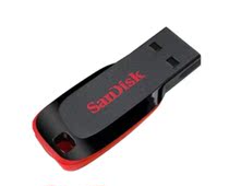 SanDisk 8g U DISK