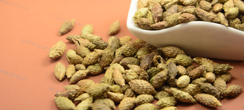 请在医生的指导下用 中文别名 葈耳,苍刺头,毛苍子,痴头猛,羊带归呆耳