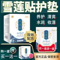 Snow lotus stickers Womens private maintenance stickers Antibacterial pads Womens non-traditional Chinese medicine non-detoxification non-itching