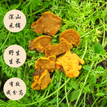 Heilongjiang Wanda Mountain primeval forest wild mulberry box poplar yellow farm deep mountain self-harvested 500g